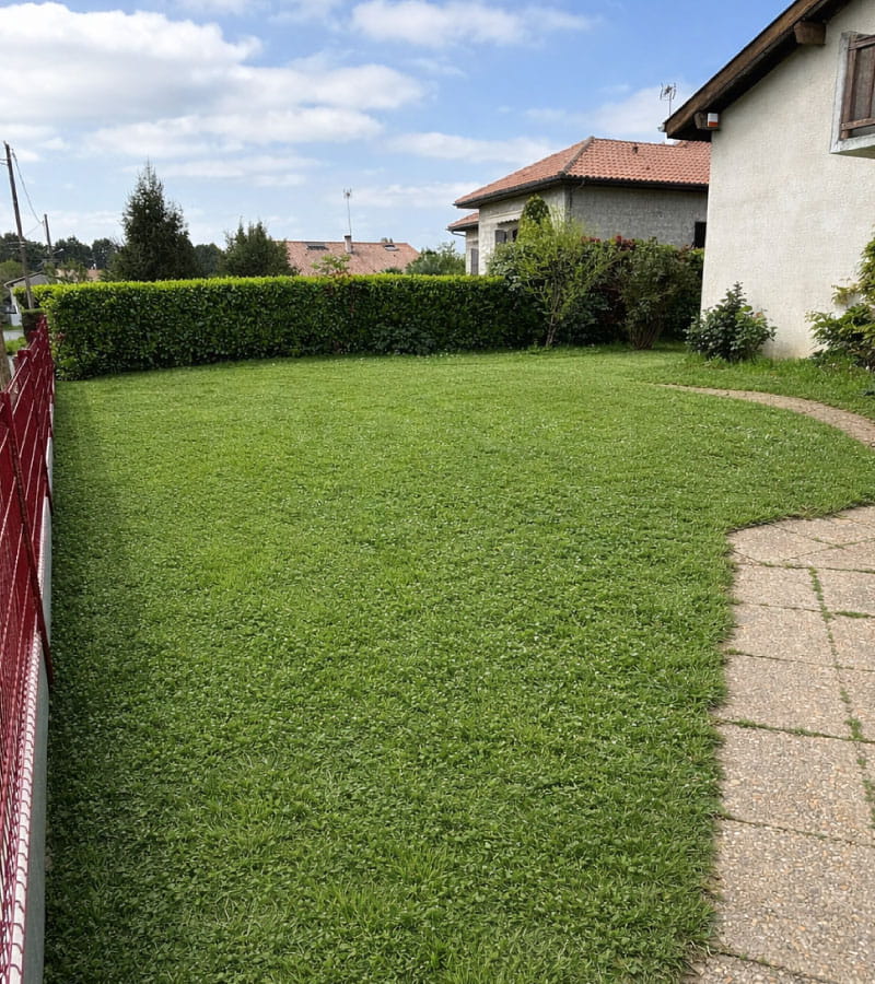 Création de pelouse 2 à Dax