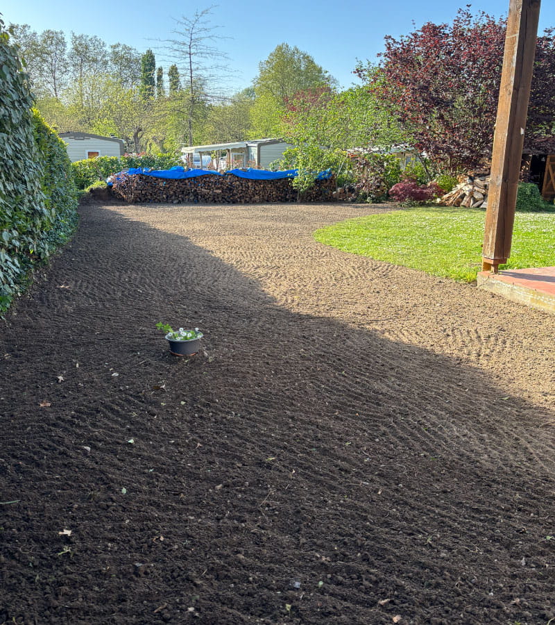 Création de pelouse 3 à Dax