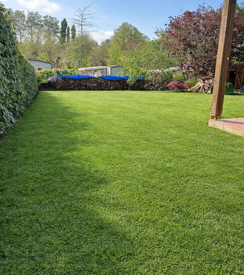 Création de pelouse 4 à Dax