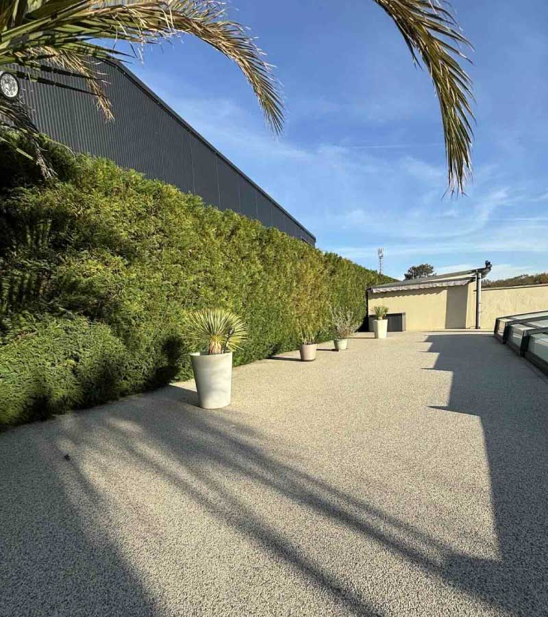 Entretien de jardin et de haies Cyprès Leylandii à Saint-Vincent-de-Tyrosse