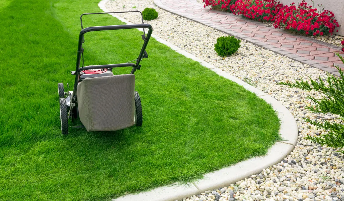 Crédit d'impôt jardinier dans les Landes