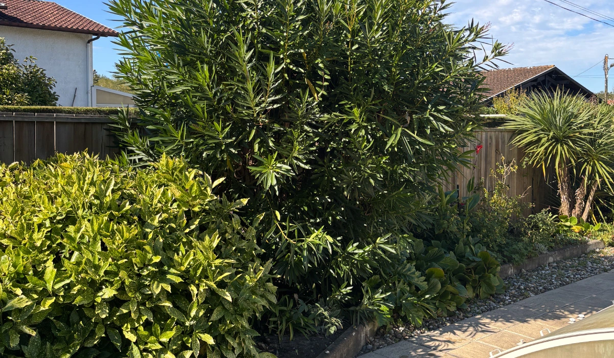 Jardinier paysagiste à Saint-Vincent-de-Tyrosse