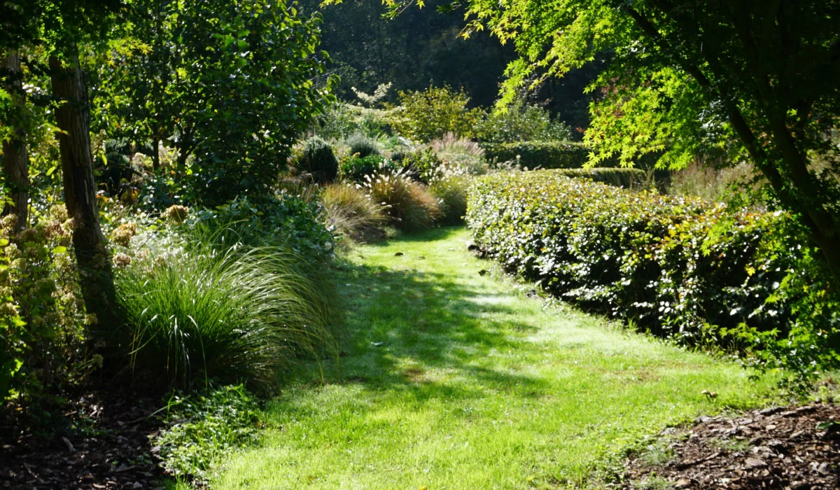 Jardinier paysagiste à Seignosse