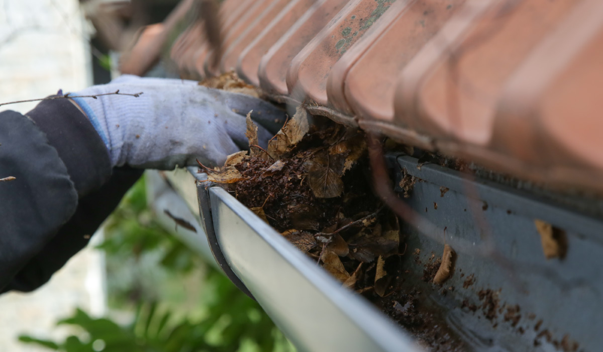 Nettoyage de gouttières dans les Landes