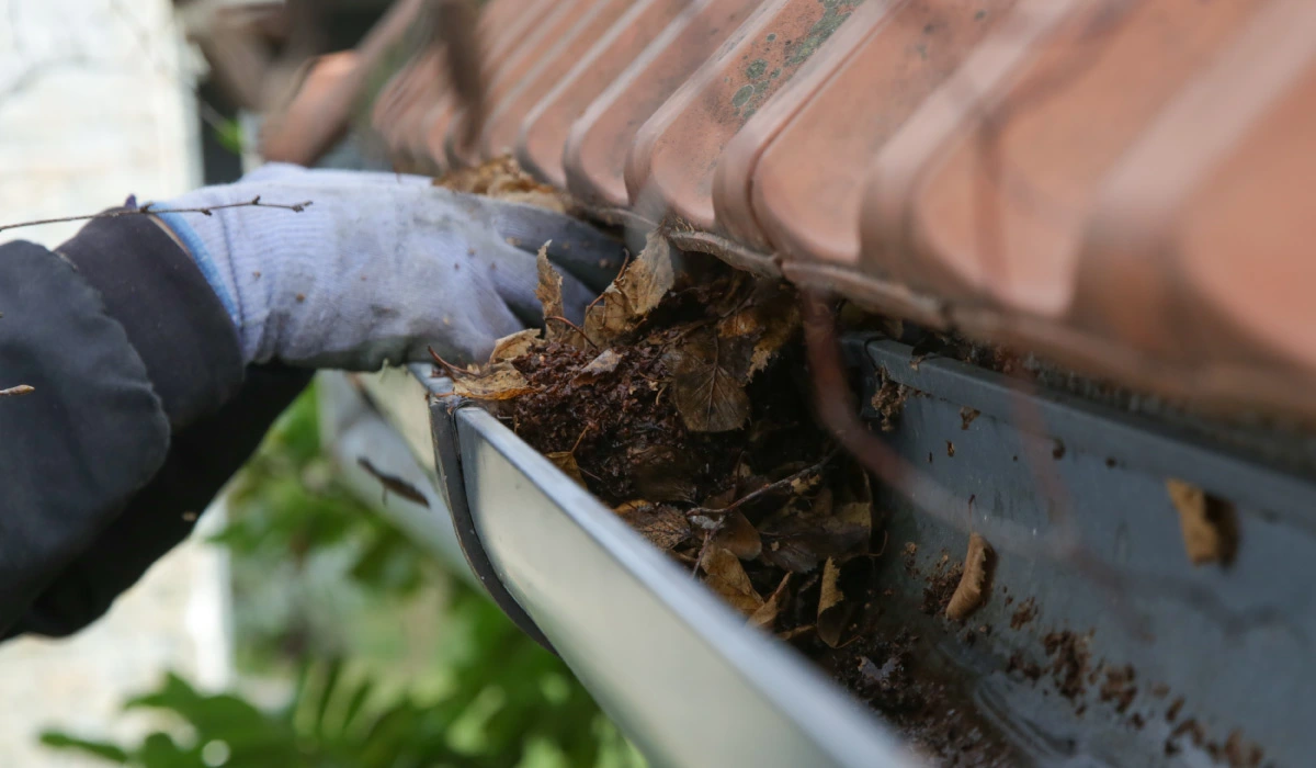 Nettoyage de gouttières dans les Landes