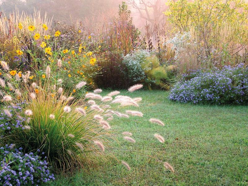 Jardin d'automne