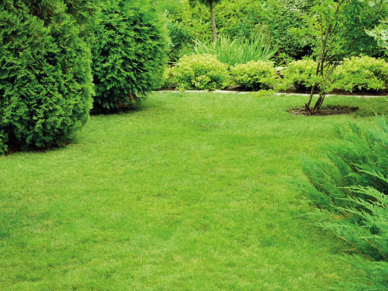 Jardin au printemps