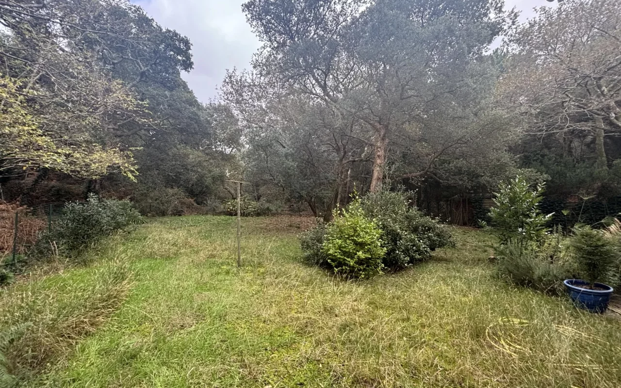 Photo avant la remise en état d'un jardin dans les Landes à Capbreton